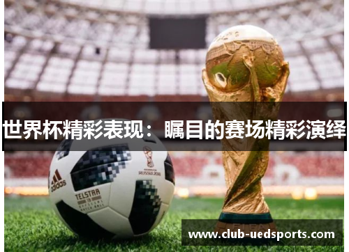 世界杯精彩表现：瞩目的赛场精彩演绎